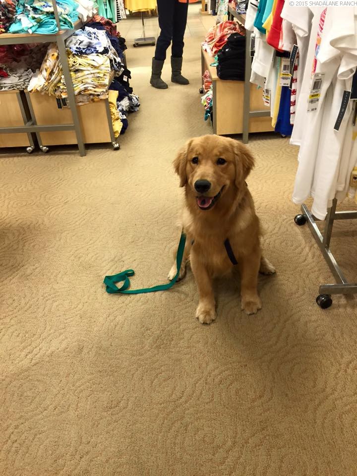 Shopping at Macys with Bruno